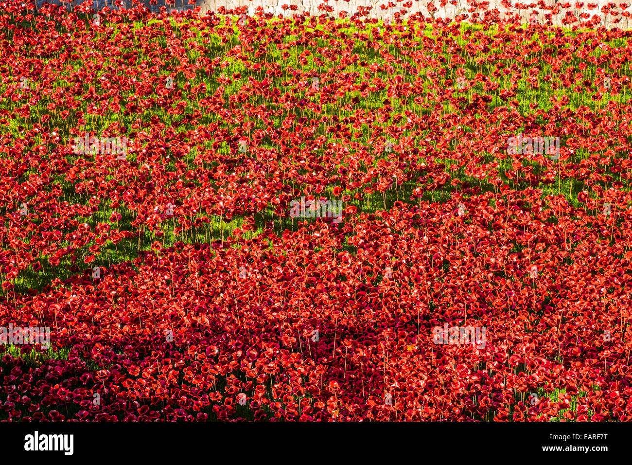 Blut fegte Lands & See rot an der Tower of London Stockfoto