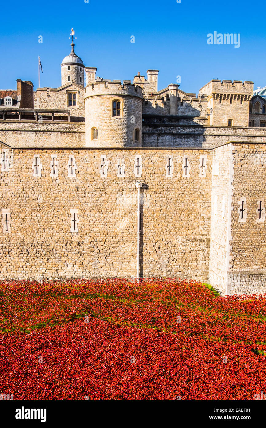 Blut fegte Lands & See rot an der Tower of London Stockfoto