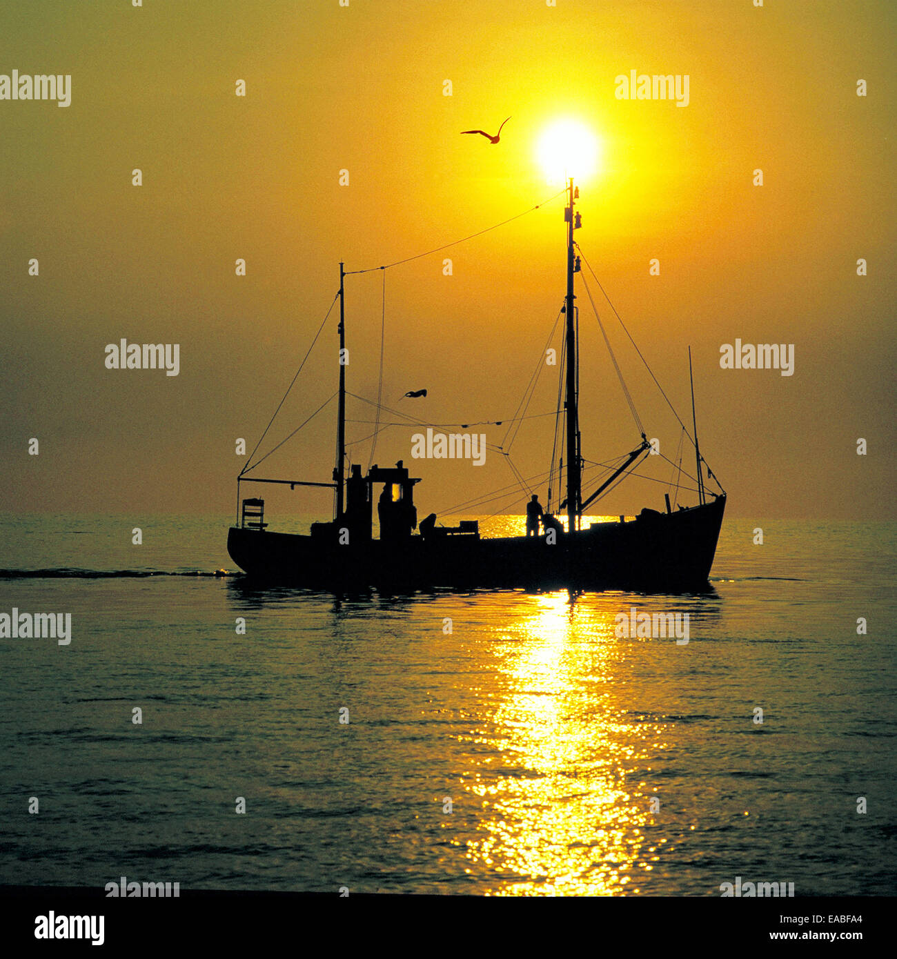 Angelboot/Fischerboot vor Sonnenuntergang Stockfoto