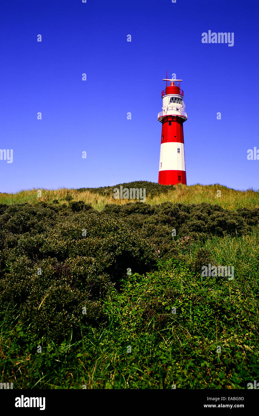 Leuchtturm von Borkum, Insel Stockfoto
