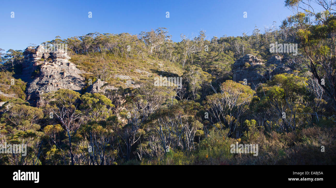 Ansicht von Buschland und robuste Sandstein Land in Blue Mountains National Park, NSW, Australien Stockfoto