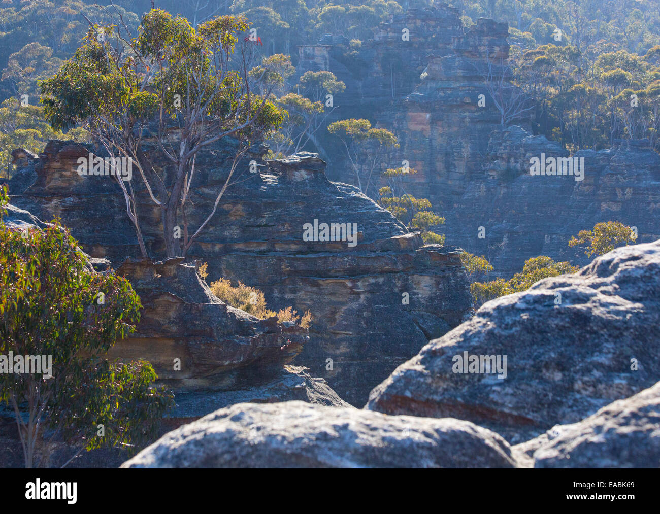 Ansicht von Buschland und robuste Sandstein Canyons in Blue Mountains National Park, NSW, Australien Stockfoto