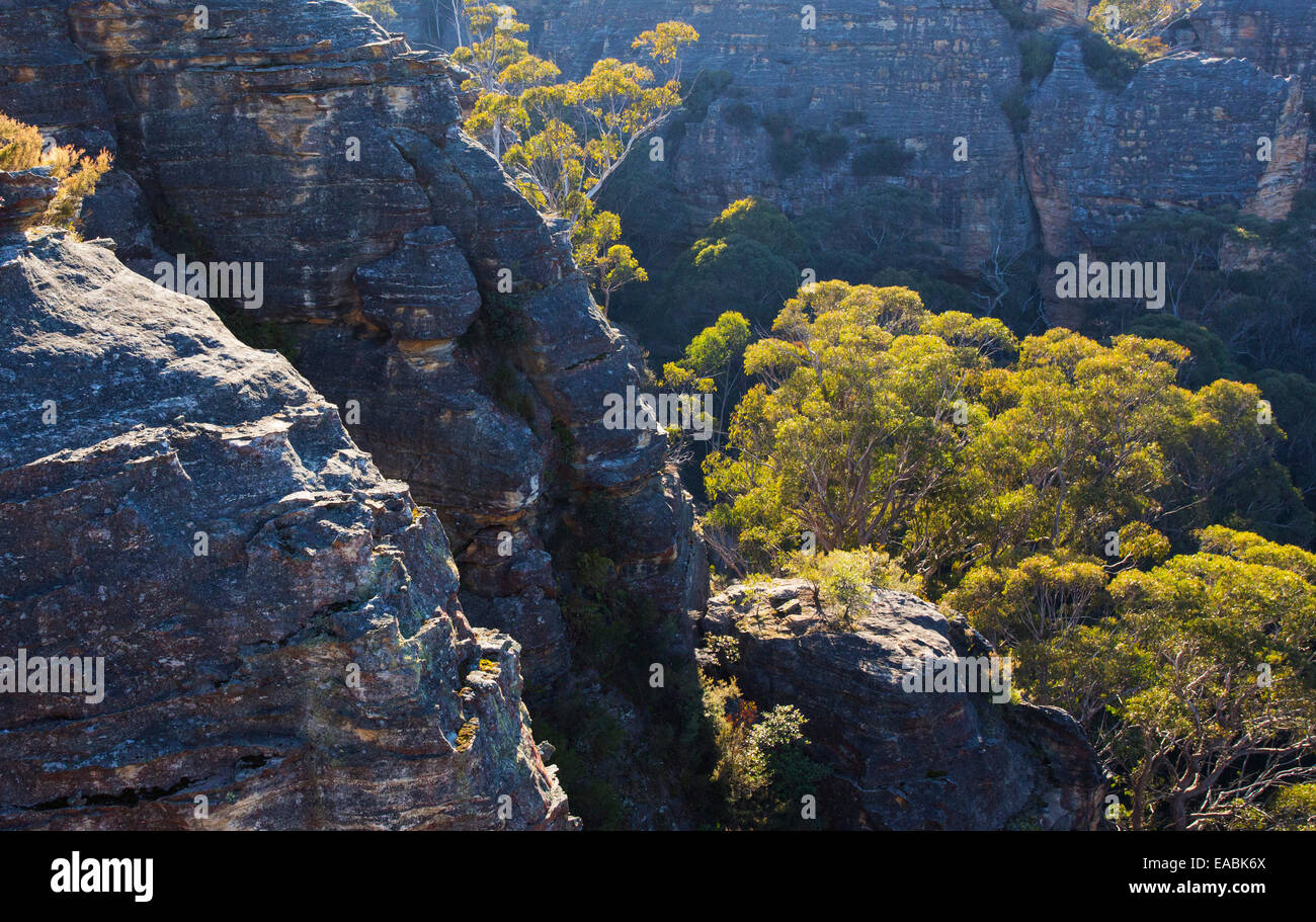 Ansicht von Buschland und robuste Sandstein Canyons in Blue Mountains National Park, NSW, Australien Stockfoto