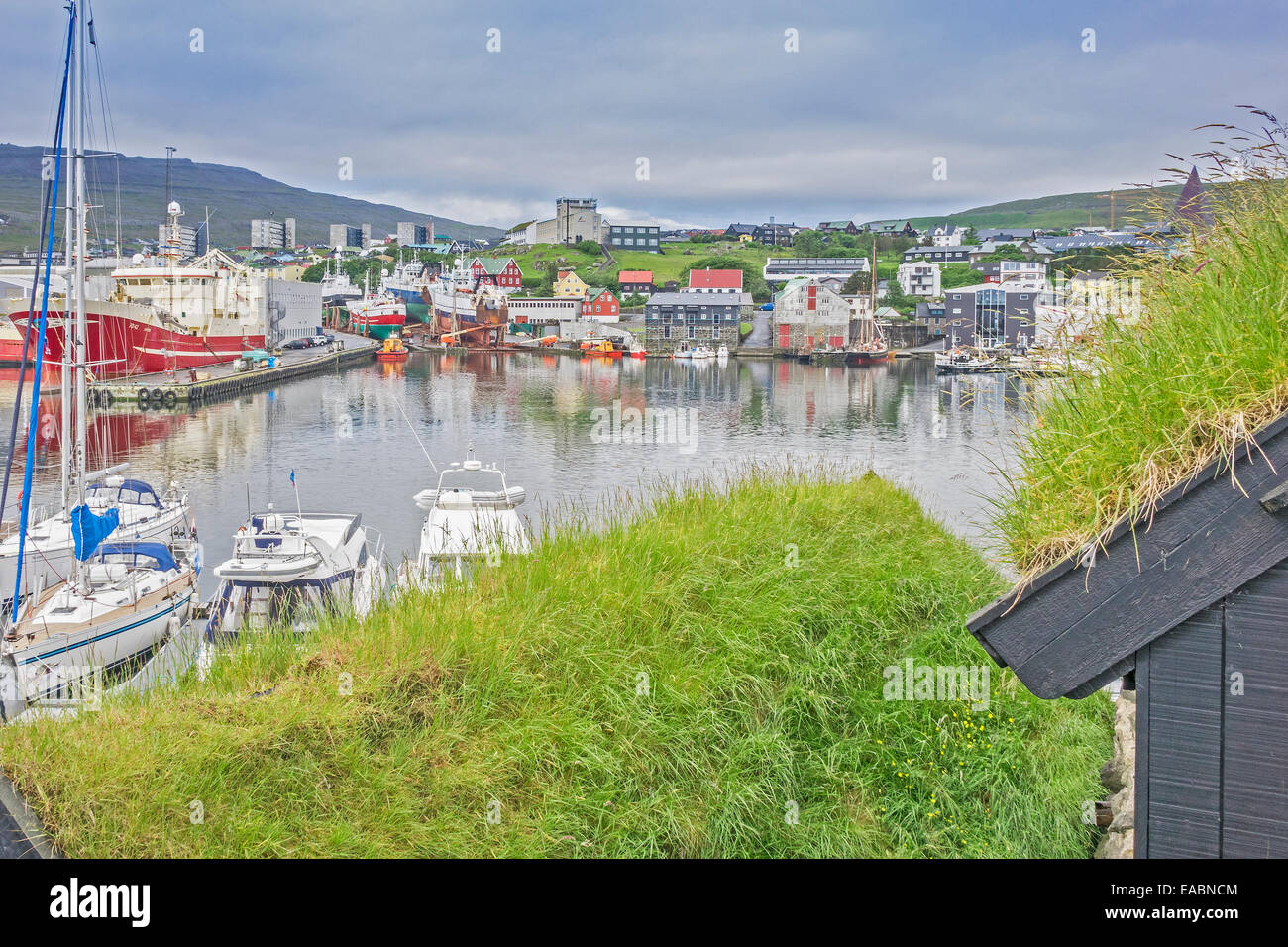 Grass bedeckt Häuser mit Blick auf den Hafen Torshavn Färöer-Inseln Stockfoto