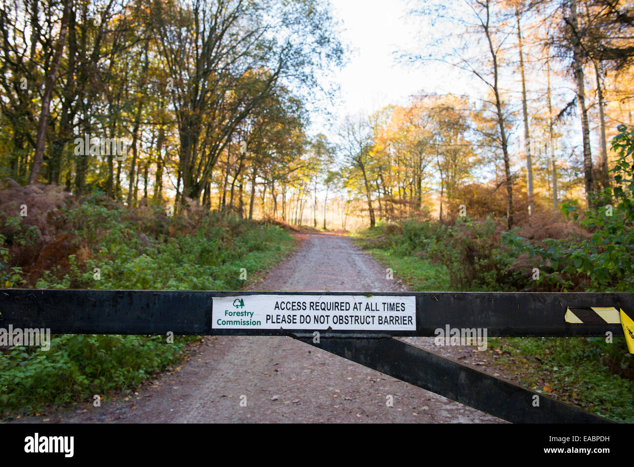 Forstwirtschaft-Kommission-Barriere in Mortimer Wald, Shropshire, England. Stockfoto