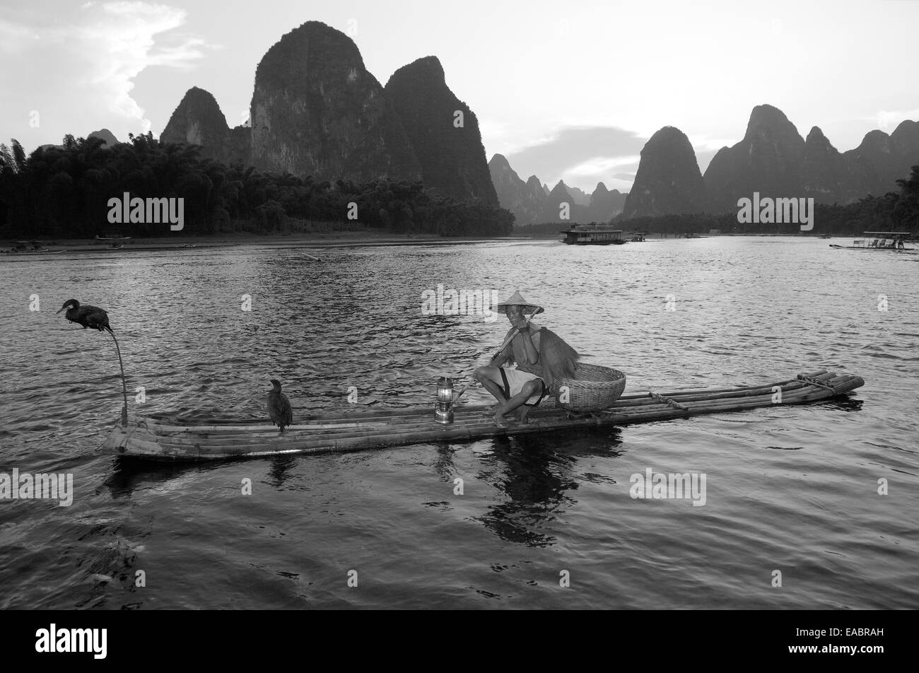 China-Guangxi-Xingping Kormoran Fischer am Li-Fluss Stockfoto