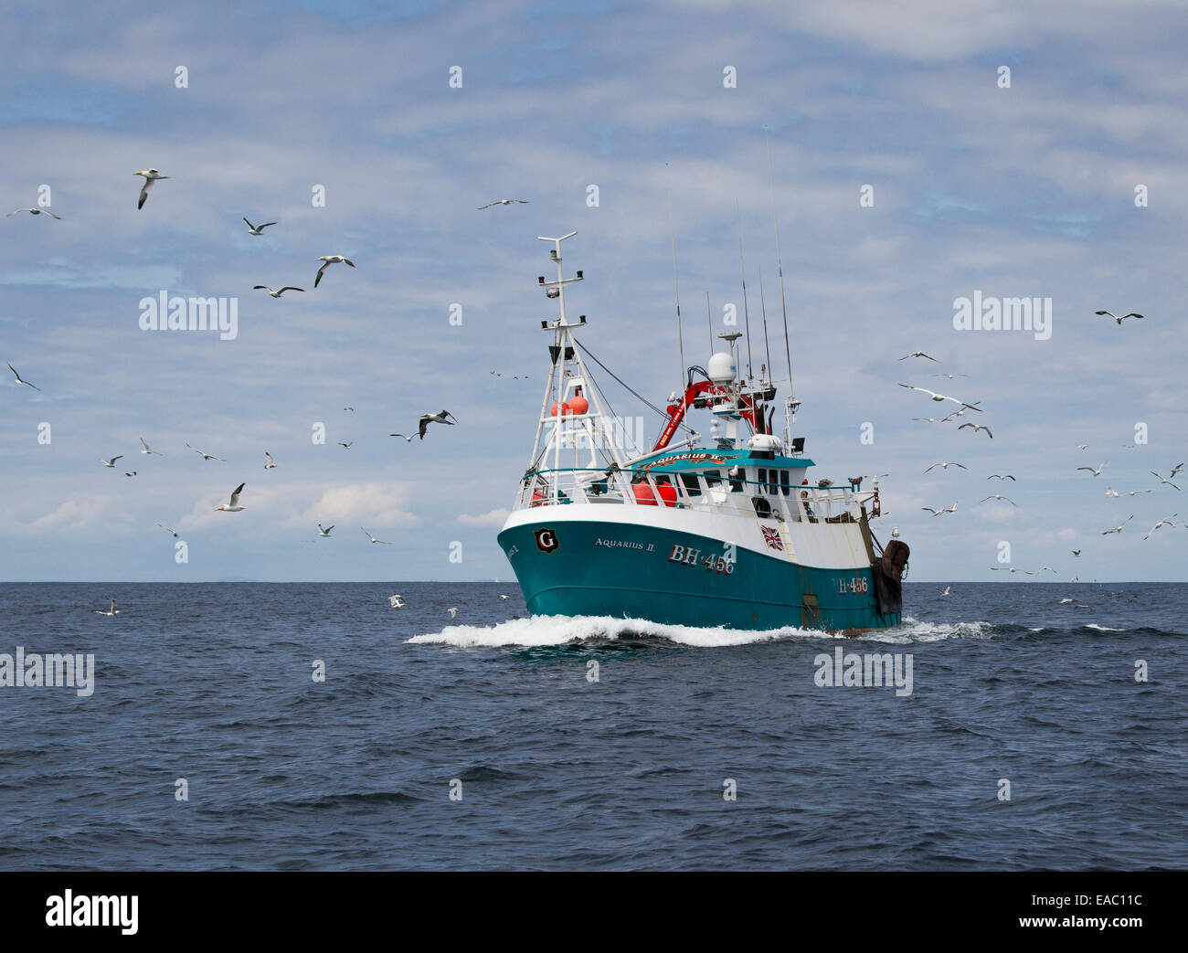 Angelboot/Fischerboot auf dem Meer mit Möwen und Tölpel Stockfoto