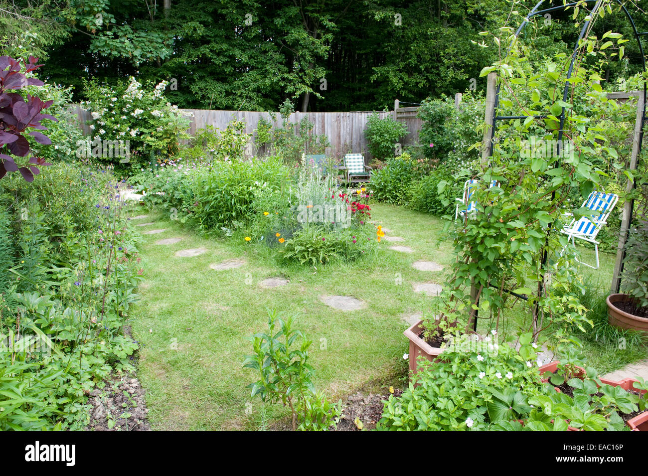 Wildlife Garden Kent UK Stockfoto
