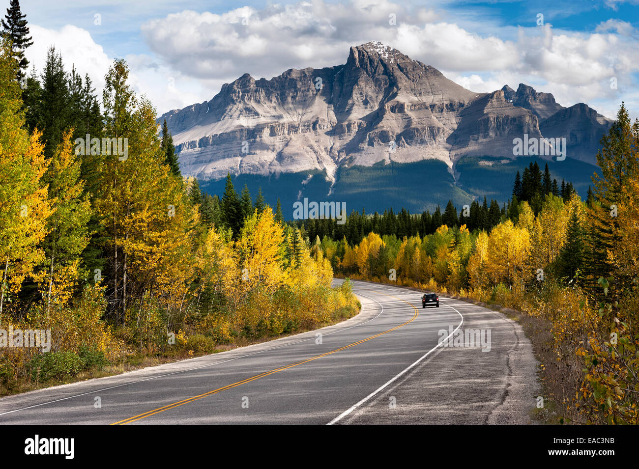 Die Rocky Mountains im Herbst, Jasper Nationalpark, Alberta, Kanada Stockfoto