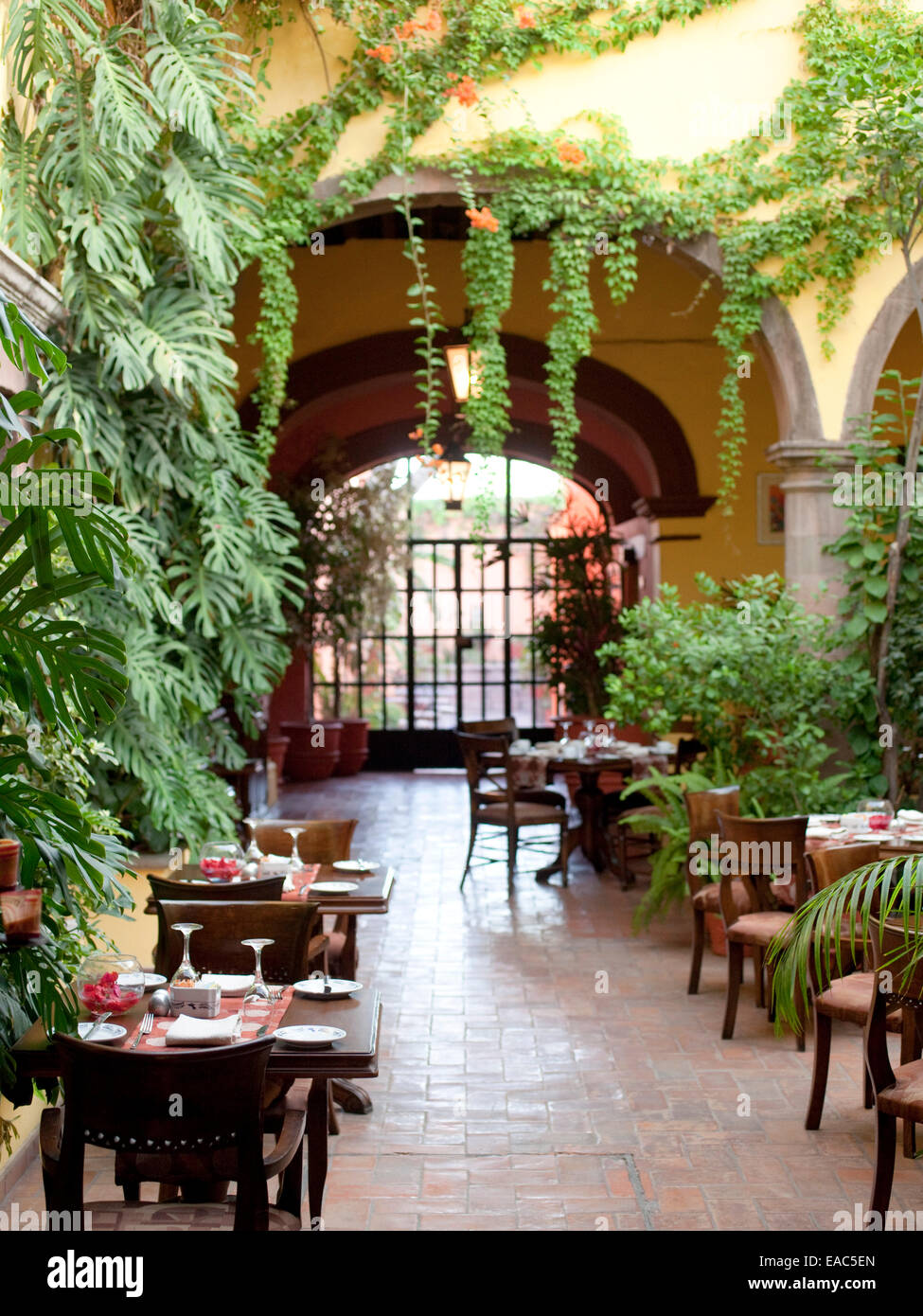 Innenhof-Speisesaal in San Miguel De Allende, Mexiko Stockfoto