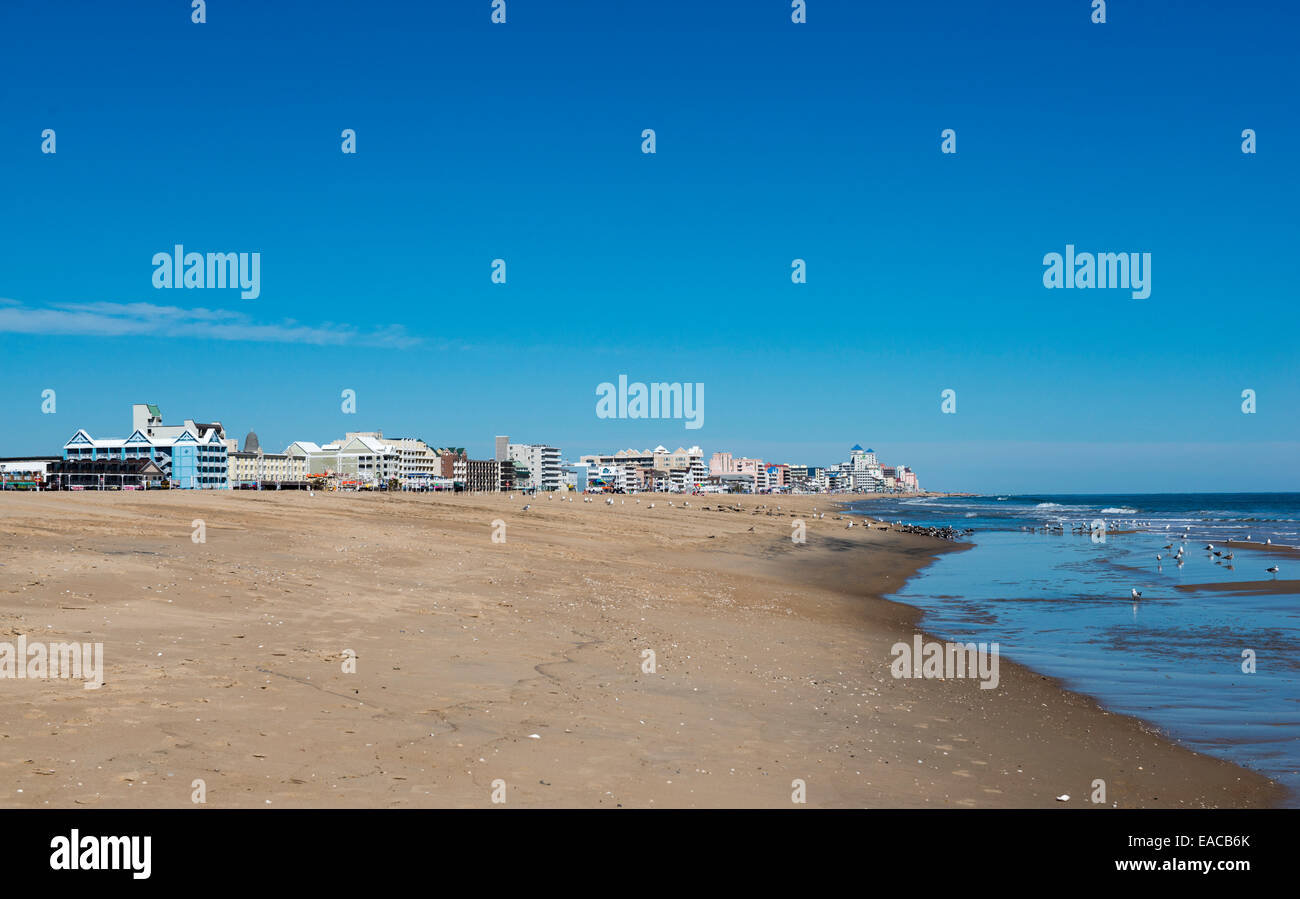 Der Strand in Ocean City, Maryland USA Stockfoto