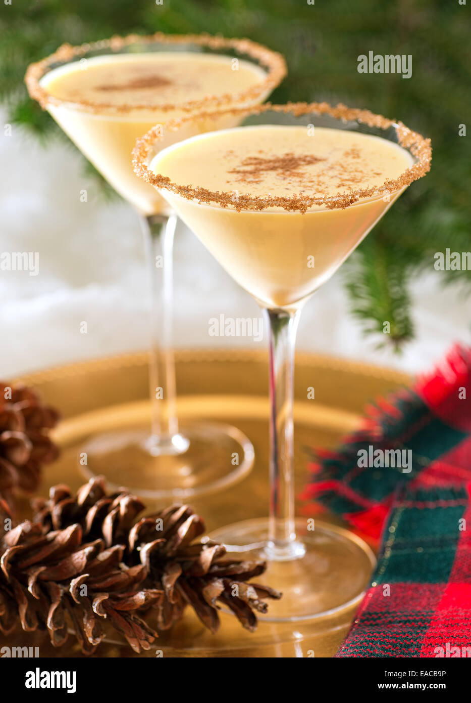 Zwei leckere Eierlikör Martinis mit Rimmer brauner Zucker und Zimt bestreuen. Stockfoto