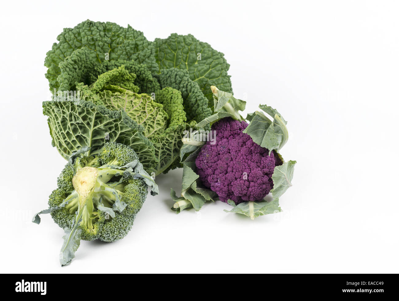 Grünkohl lila Blumenkohl und broccoli Stockfoto