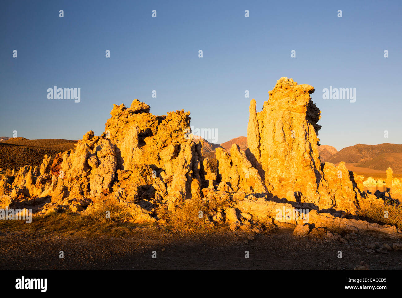 Die ikonischen Kalktuff-Formationen am Mono Lake, Kalifornien, USA. Stockfoto