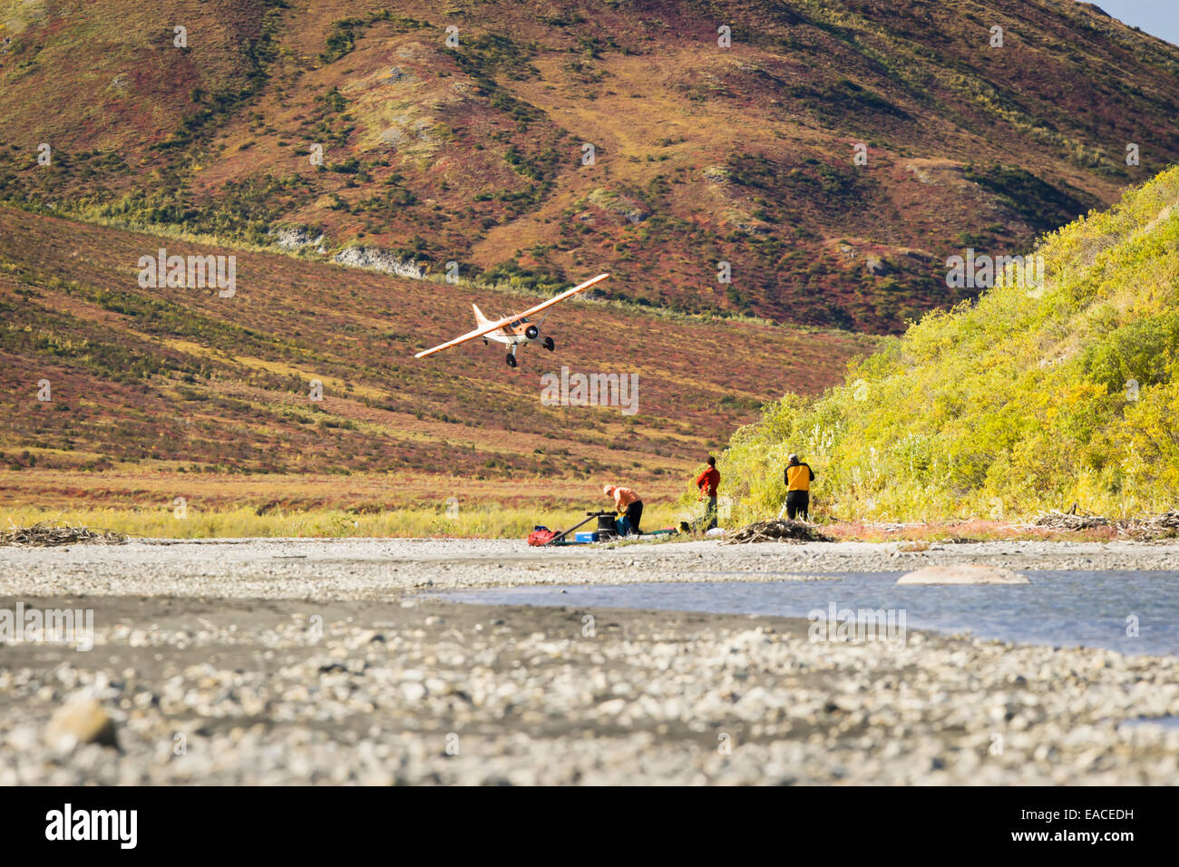 Bushplane kommt zum abholen von Passagieren nach Noatak River-rafting-Tour in Gates of the Arctic National Park; Alaska, USA Stockfoto