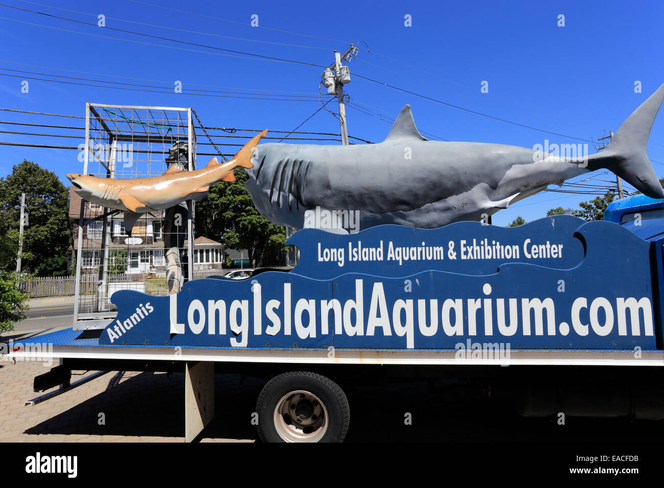 Atlantis Unterwasserwelt Aquarium Riverhead Long Island New York Stockfoto