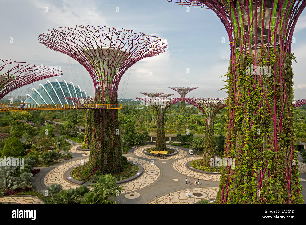 Blick vom hohen Skyway Verknüpfung immense Supertrees des Parklands & riesige Glas Wintergarten von Singapur große Gardens By The Bay Stockfoto