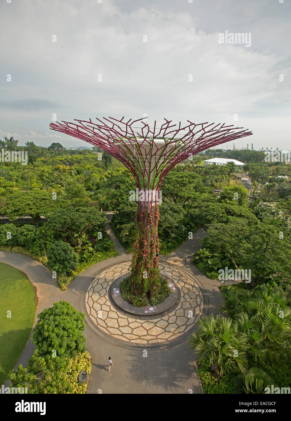 Blick auf immense "Supertree", einen vertikalen Garten & Parklands Singapurs große Gardens By The Bay von hohen Skyway-Plattform Stockfoto