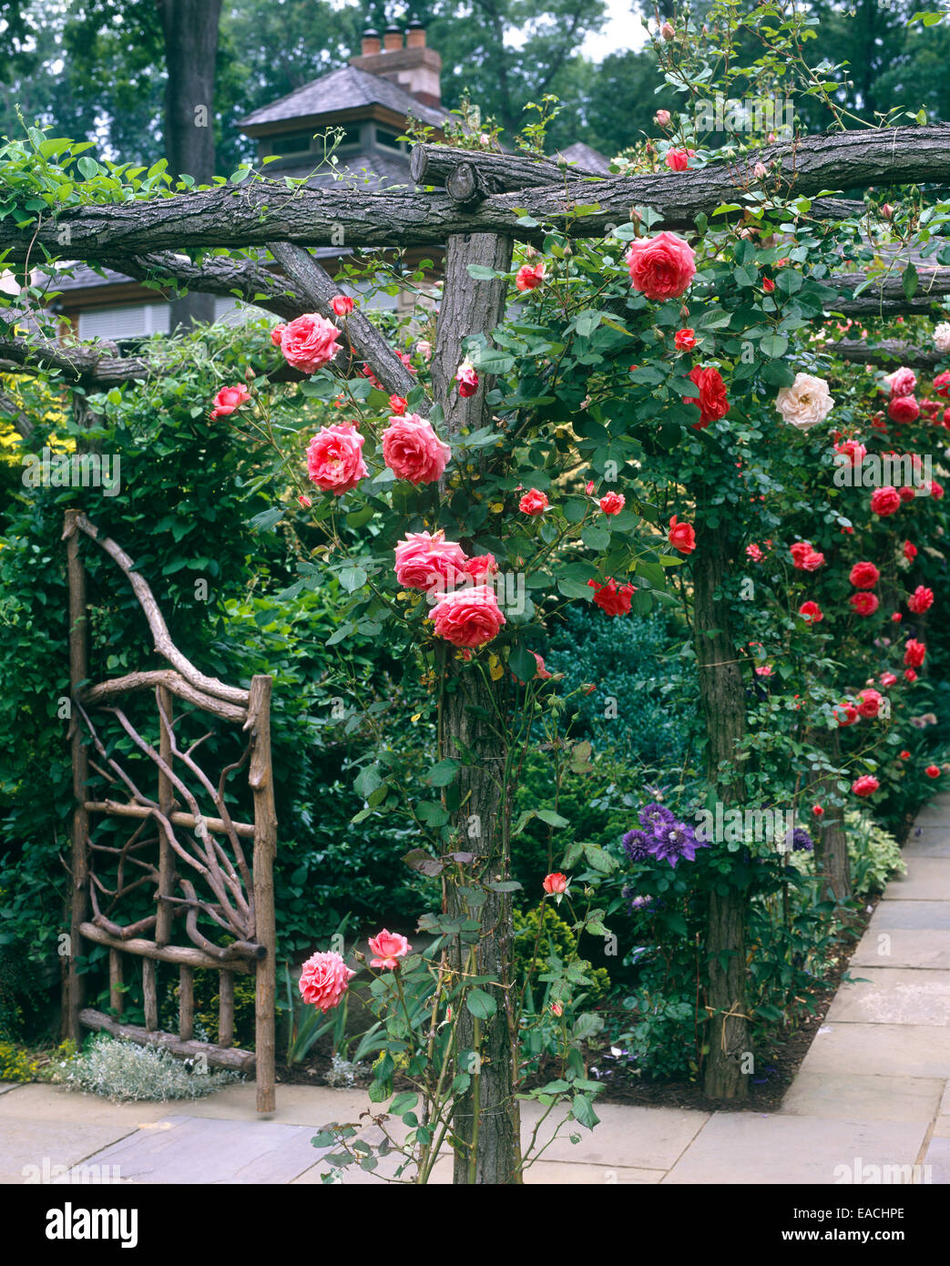 Garten mit Rosen und Schiefer Wege Stockfoto