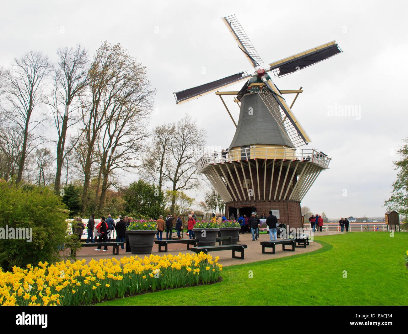 Die Windmühle von Keukenhof Stockfoto