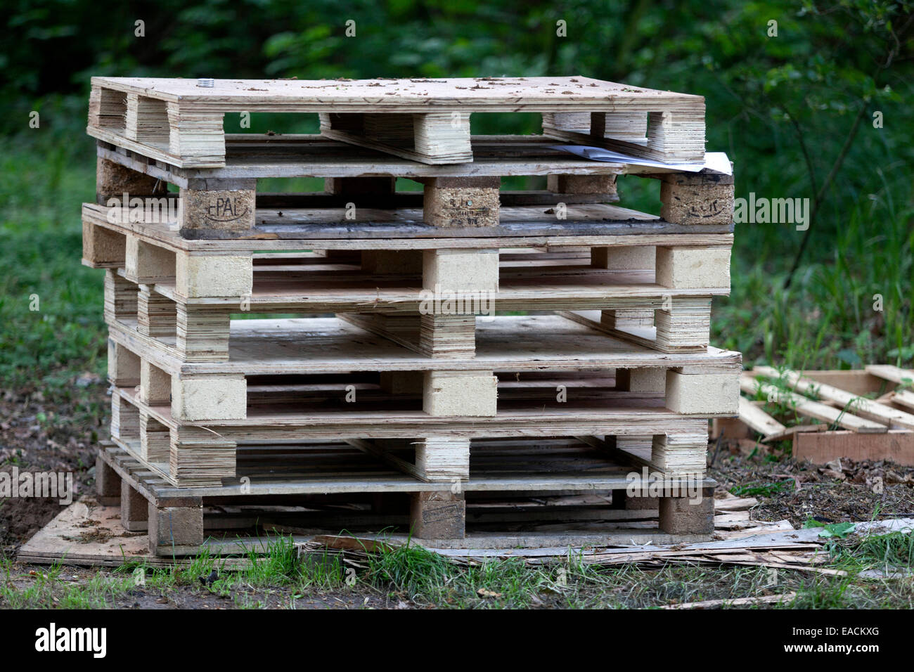 Europaletten Holzpaletten Stockfoto