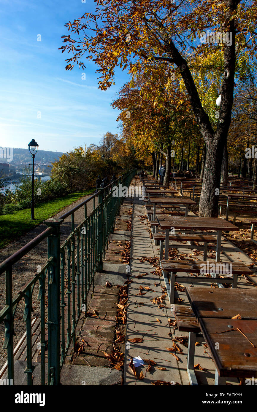 Laub, Letna Park Prag Tschechische Republik Stockfoto