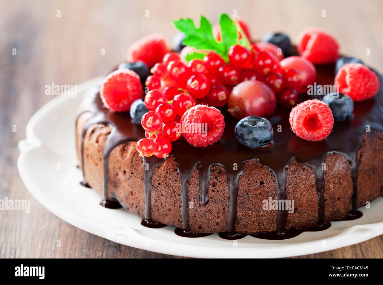 Schokoladenkuchen mit frischen Beeren Stockfoto