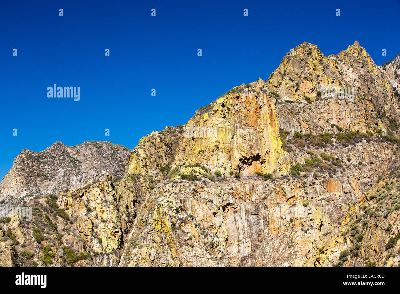 Flechten bedeckt Rock im Kings Canyon Nationalpark, Kalifornien, USA Stockfoto