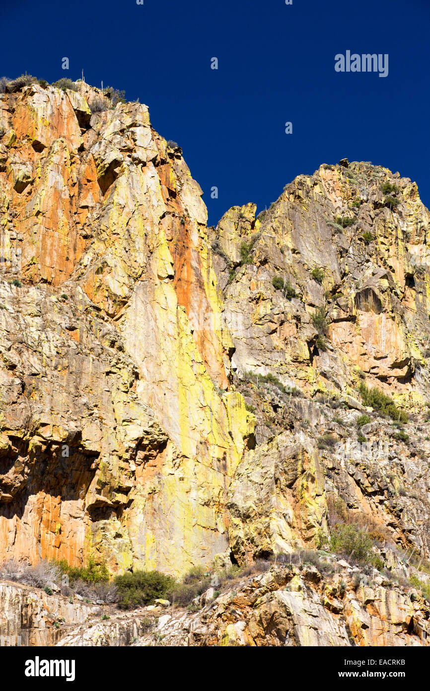 Flechten bedeckt Rock im Kings Canyon Nationalpark, Kalifornien, USA Stockfoto