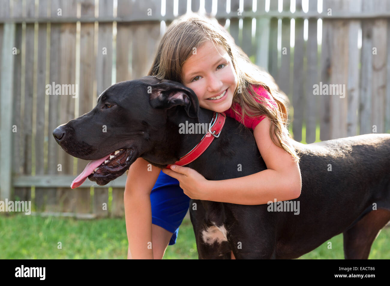 Deutsche Dogge und Kind Mädchen umarmen spielen zusammen im Garten im freien Stockfoto