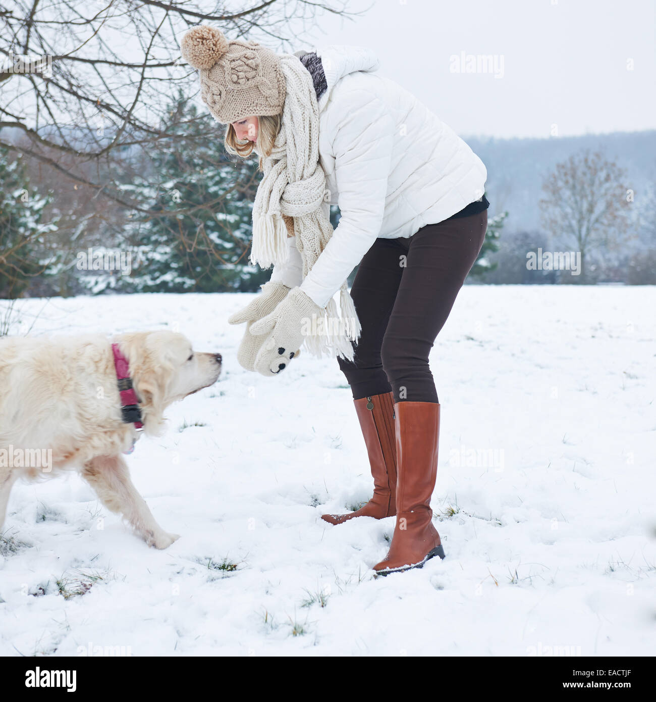 Frau zu Fuß einen golden Retriever Hund im verschneiten winter Stockfoto