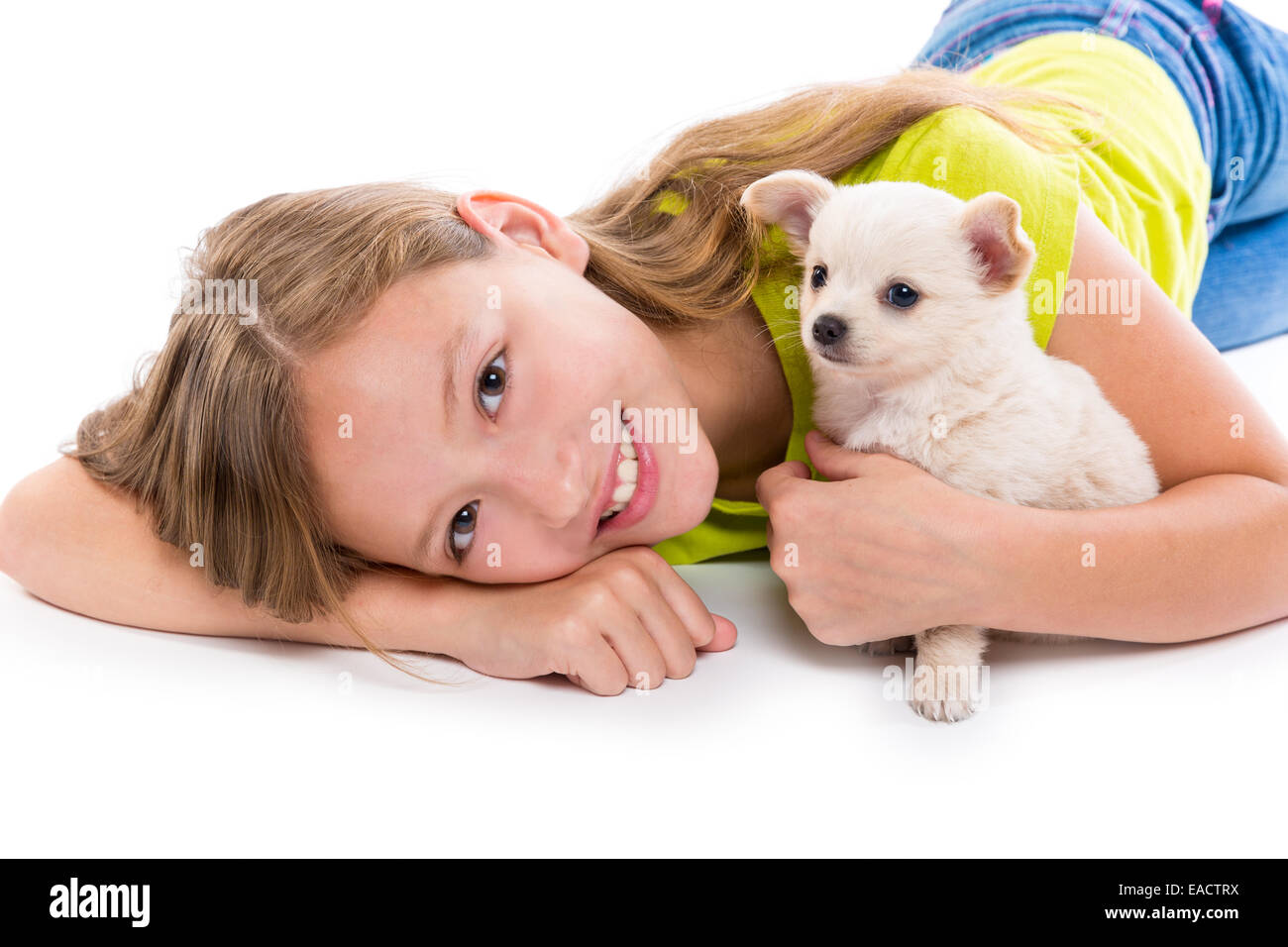 Chiuahua Welpen Hund und Kind Mädchen glücklich entspannt zusammen liegend auf weißem Hintergrund Stockfoto