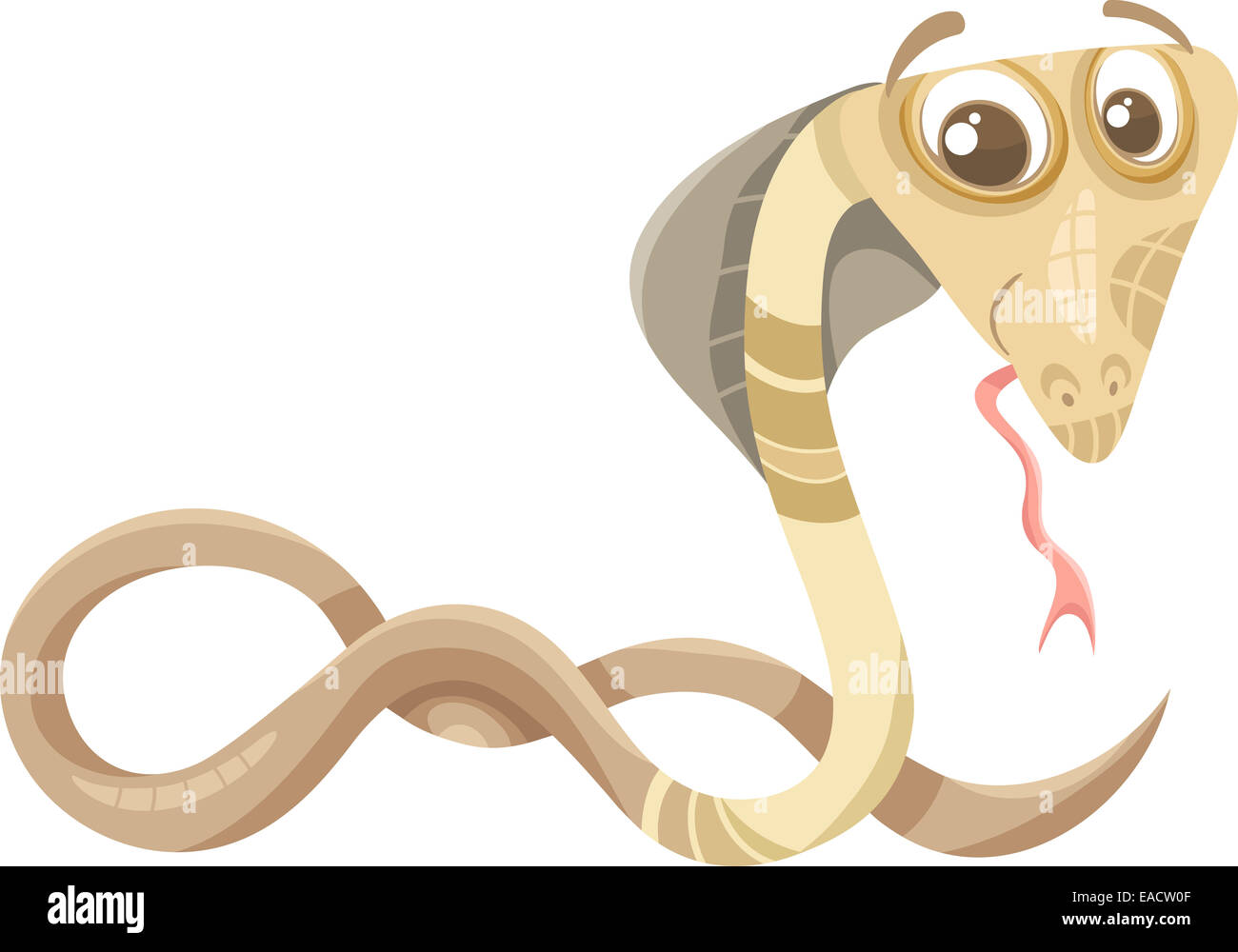Cartoon-Illustration der lustige Cobra Schlange Reptilien Tiere Stockfoto