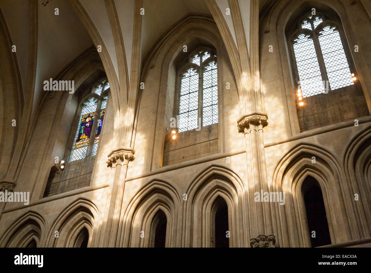 Bogen / Bogen Rundbogenfenster im Kirchenschiff / nachschlagen, das Gewölbe des Kirchenschiffs der Wells Cathedral (Gewölbedecke). Somerset UK. Stockfoto