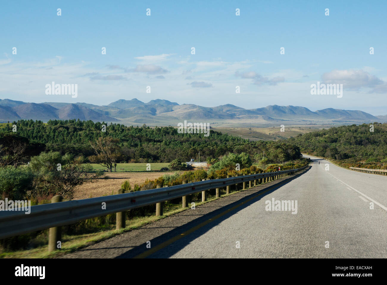 Country Road, Tsitsikamma, Eastern Cape, Südafrika Stockfoto