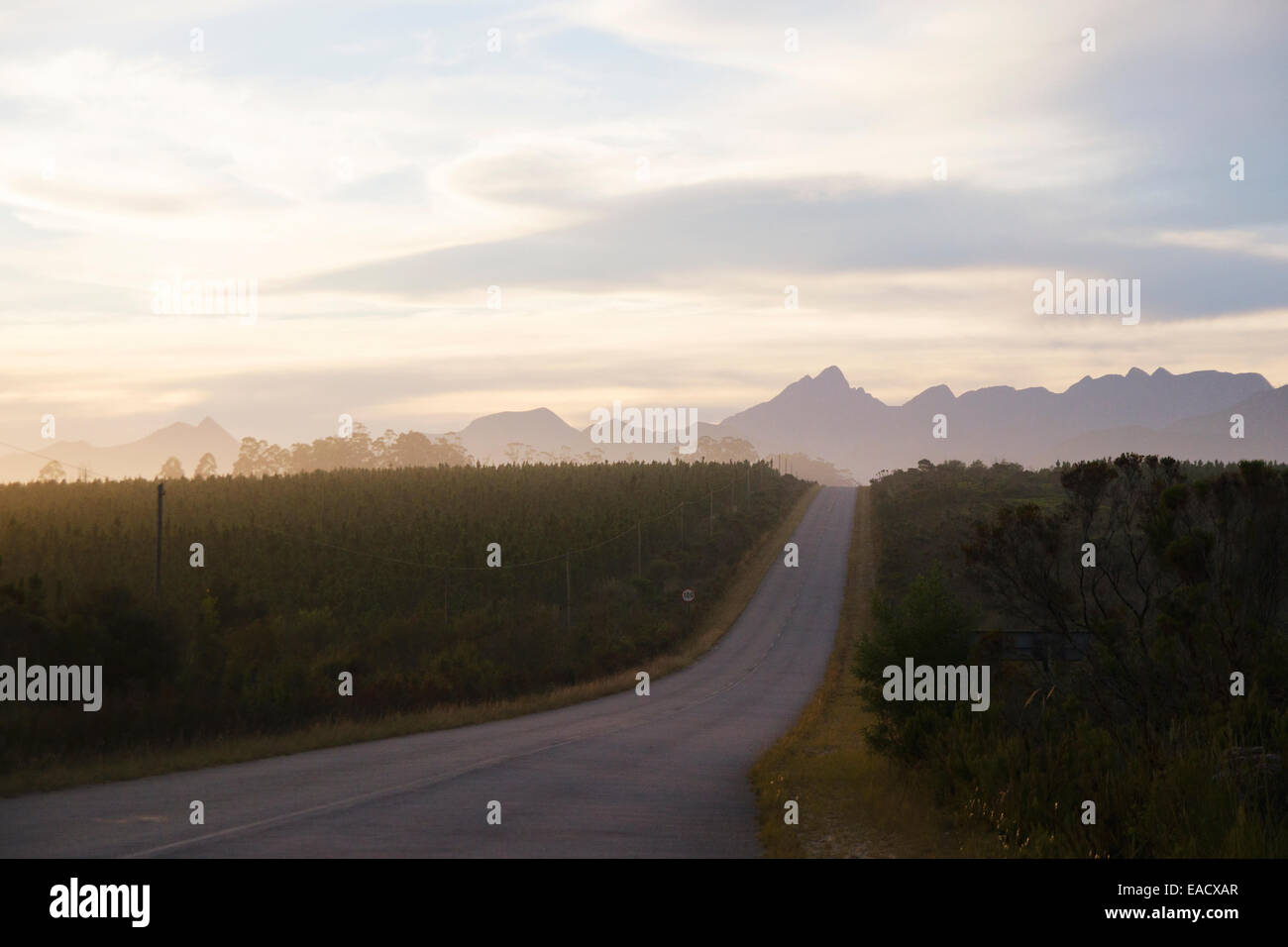 Landstraße bei Dämmerung, Tsitsikamma, Eastern Cape, South Africa Stockfoto