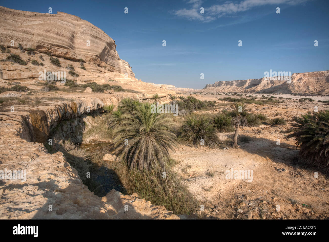 Wadi, Dhofar, Oman Stockfoto