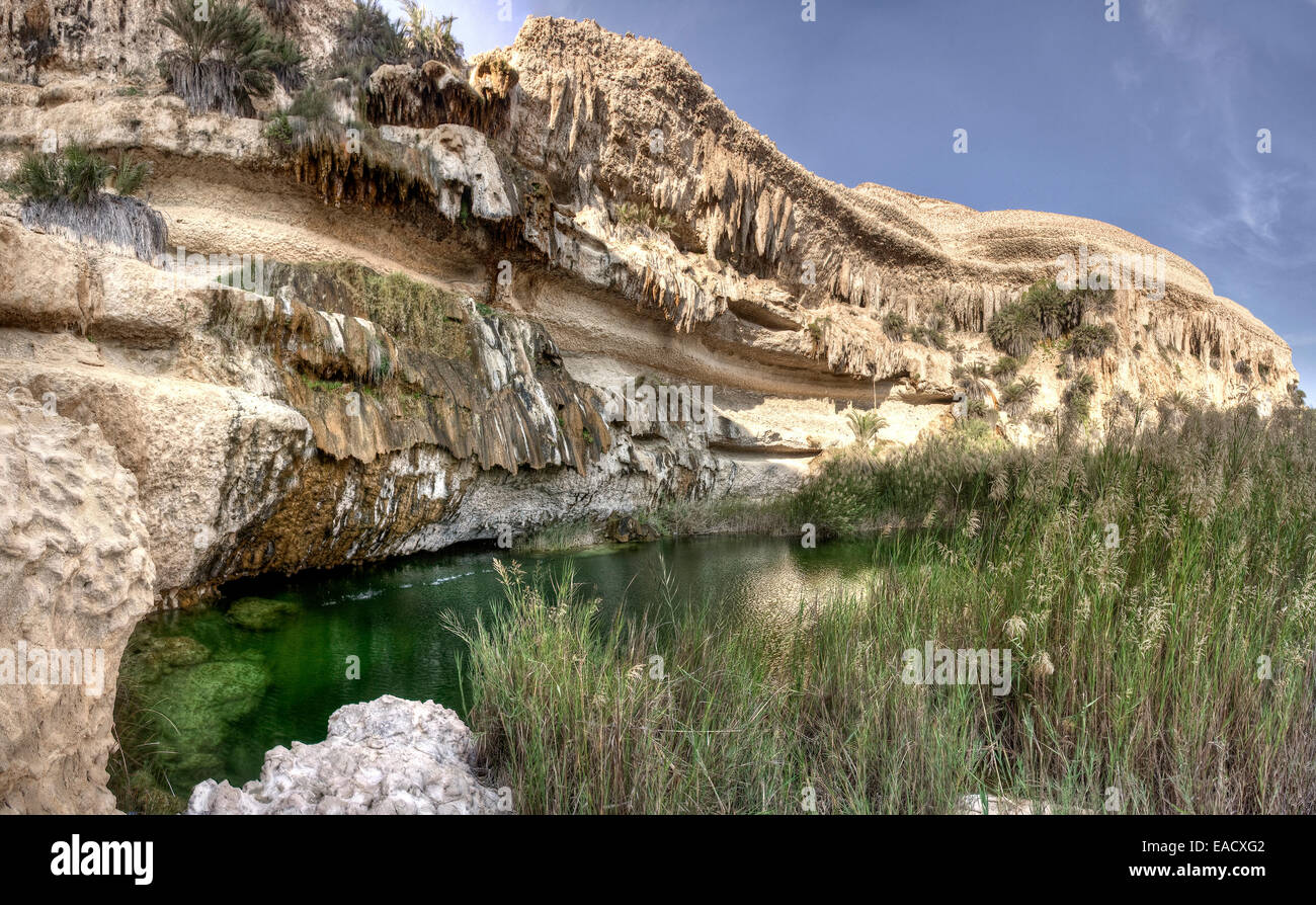 Wadi, Dhofar, Oman Stockfoto