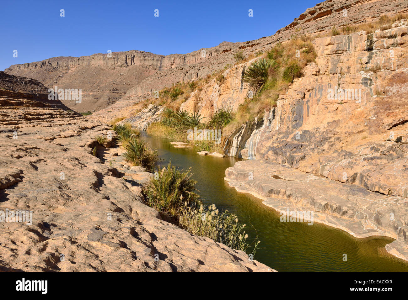 Wasser in einem Guelta in Algerien, Tassili n ' Ajjer National Park, Iherir, Idaran Canyon Stockfoto