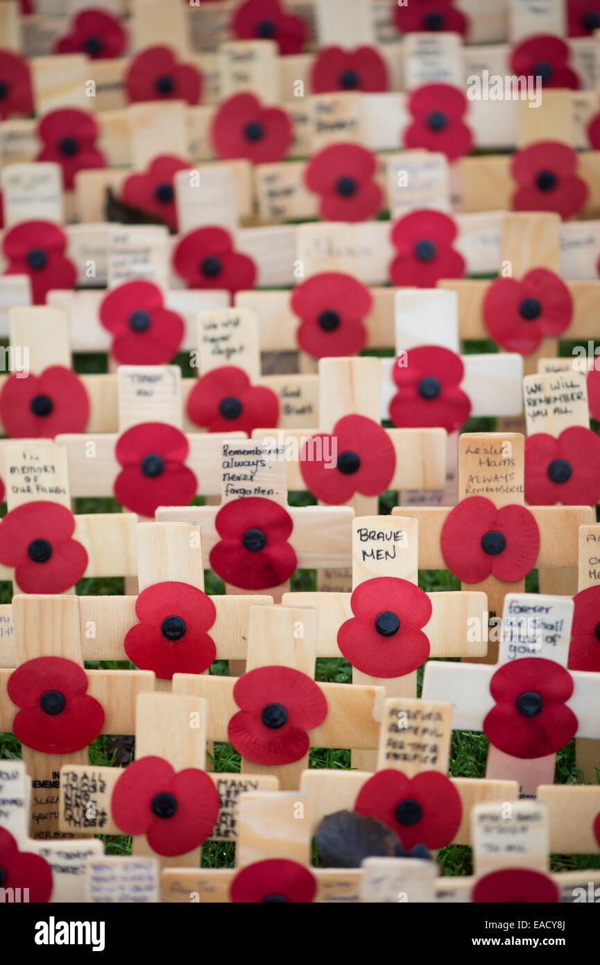 Tapfere Männer. Erinnerung-Kreuze und Mohn Stockfoto