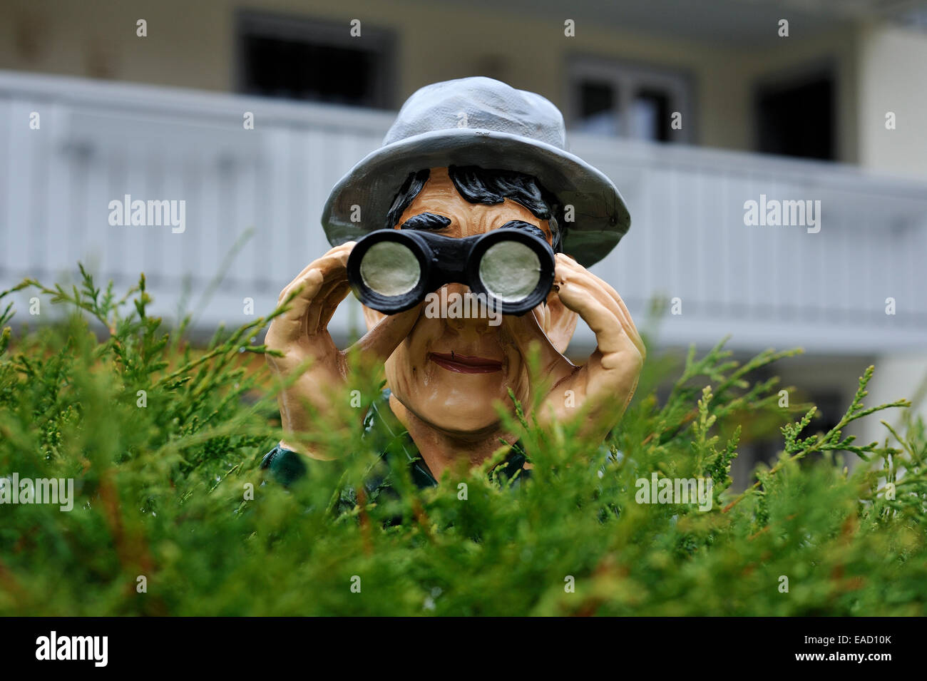 Figur mit Hut und Fernglas über eine Hecke, Weitnau, Bayern, Deutschland Stockfoto