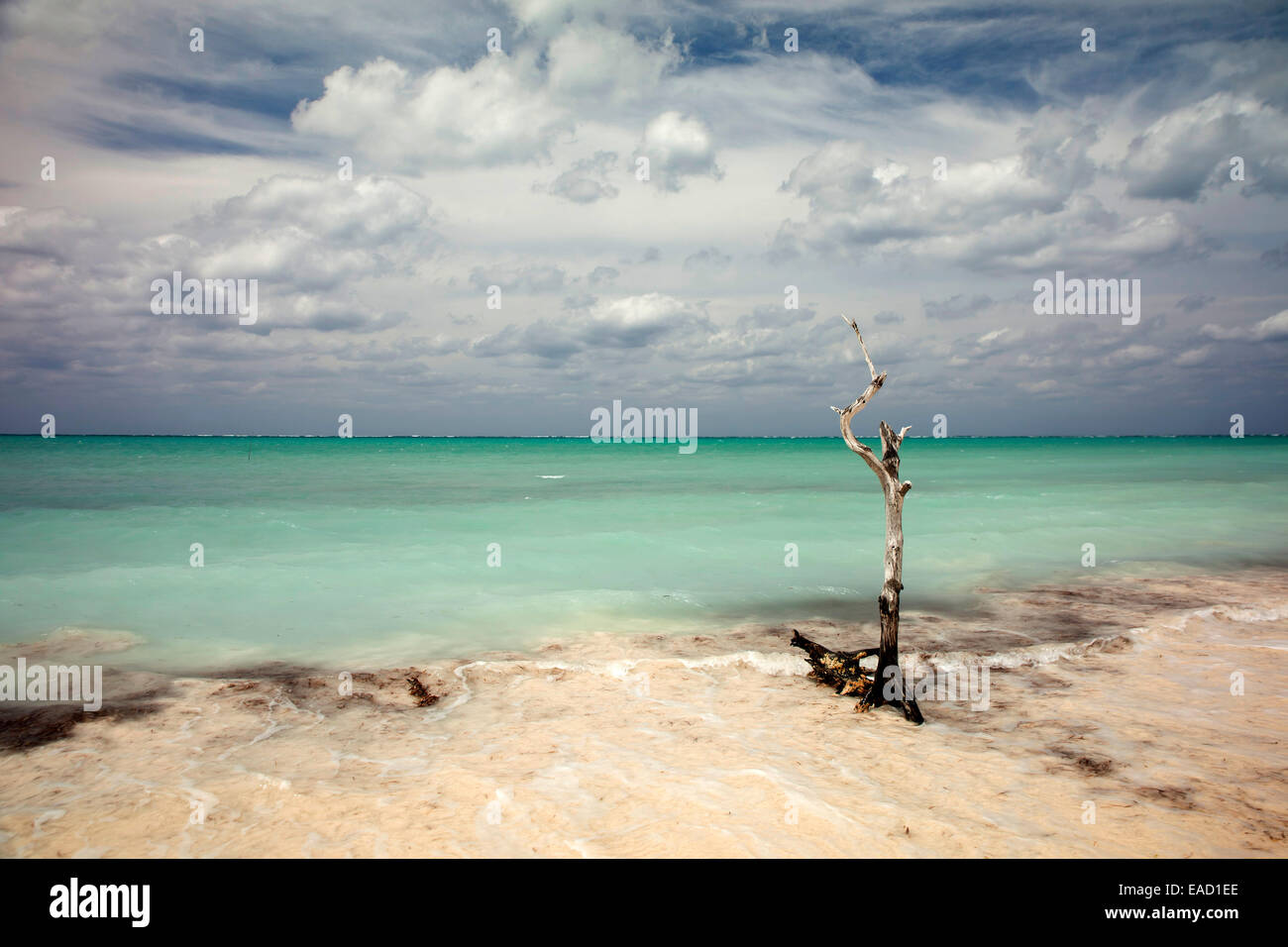 Strand, Cayo Levisa, Pinar del Río Provinz, Kuba Stockfoto