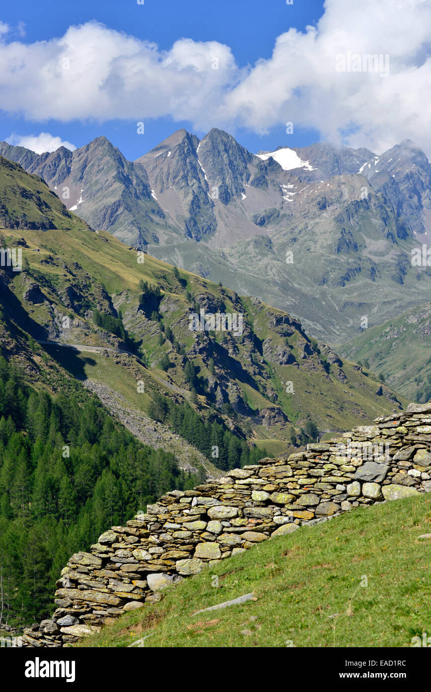 Steinmauer auf die alpinen Seeweralm Weide, Seewertal, Ötztaler Alpen, Provinz Südtirol, Trentino-Alto Adige, Italien Stockfoto