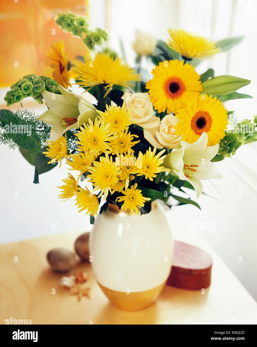 Gänseblümchen, Chrysantheme, Chrysanthemen, gelbe Thema. Stockfoto