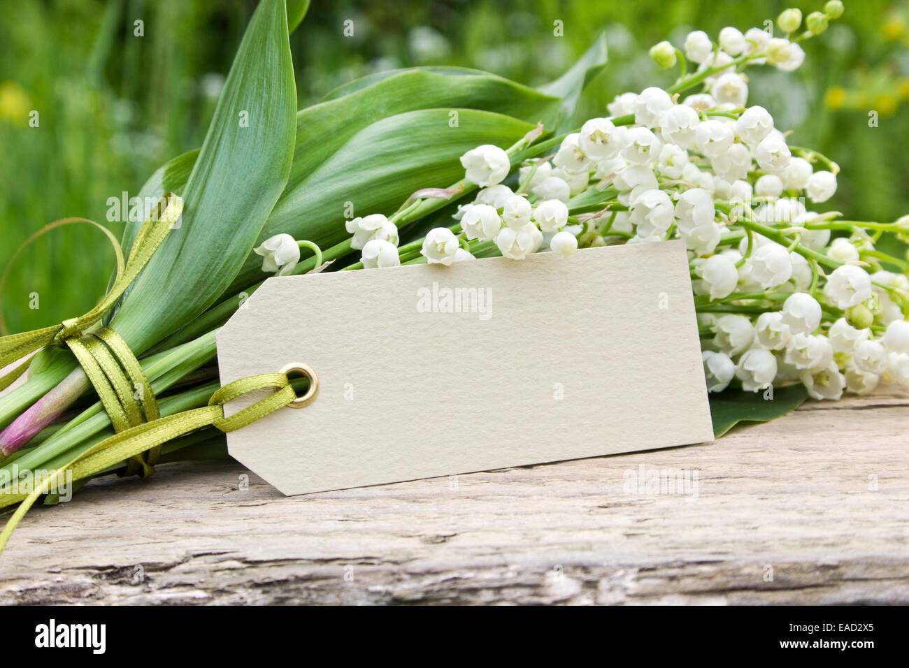 Lily Of The Valley und label Stockfoto