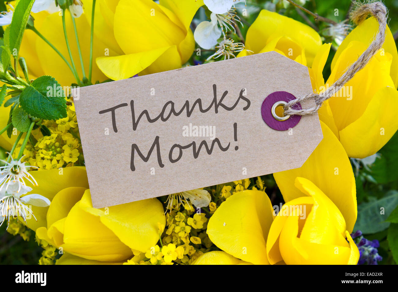 Englisch Mutter-Tageskarte mit gelben Tulpen Stockfoto