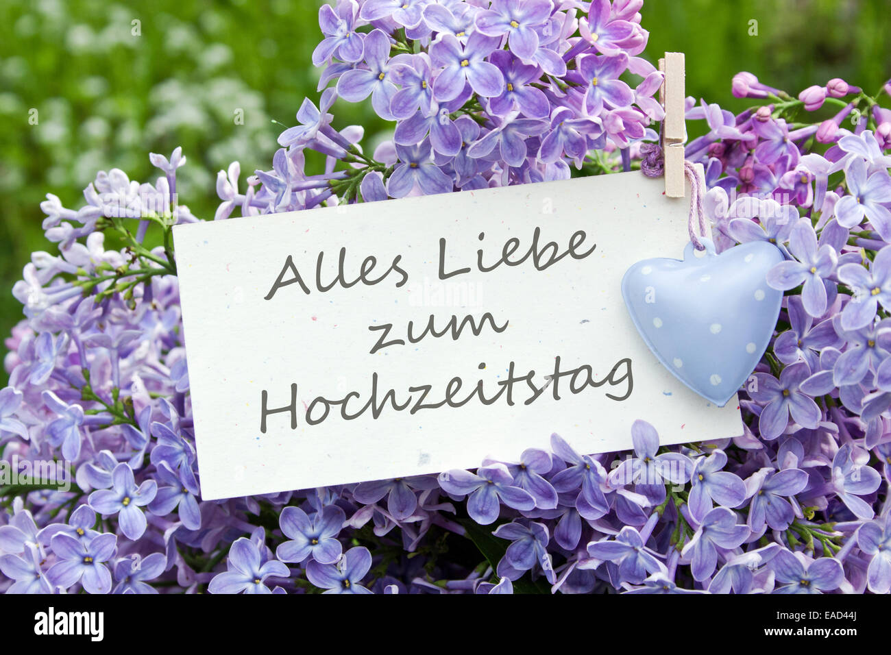 Deutsche Hochzeit Karte mit lila Stockfoto
