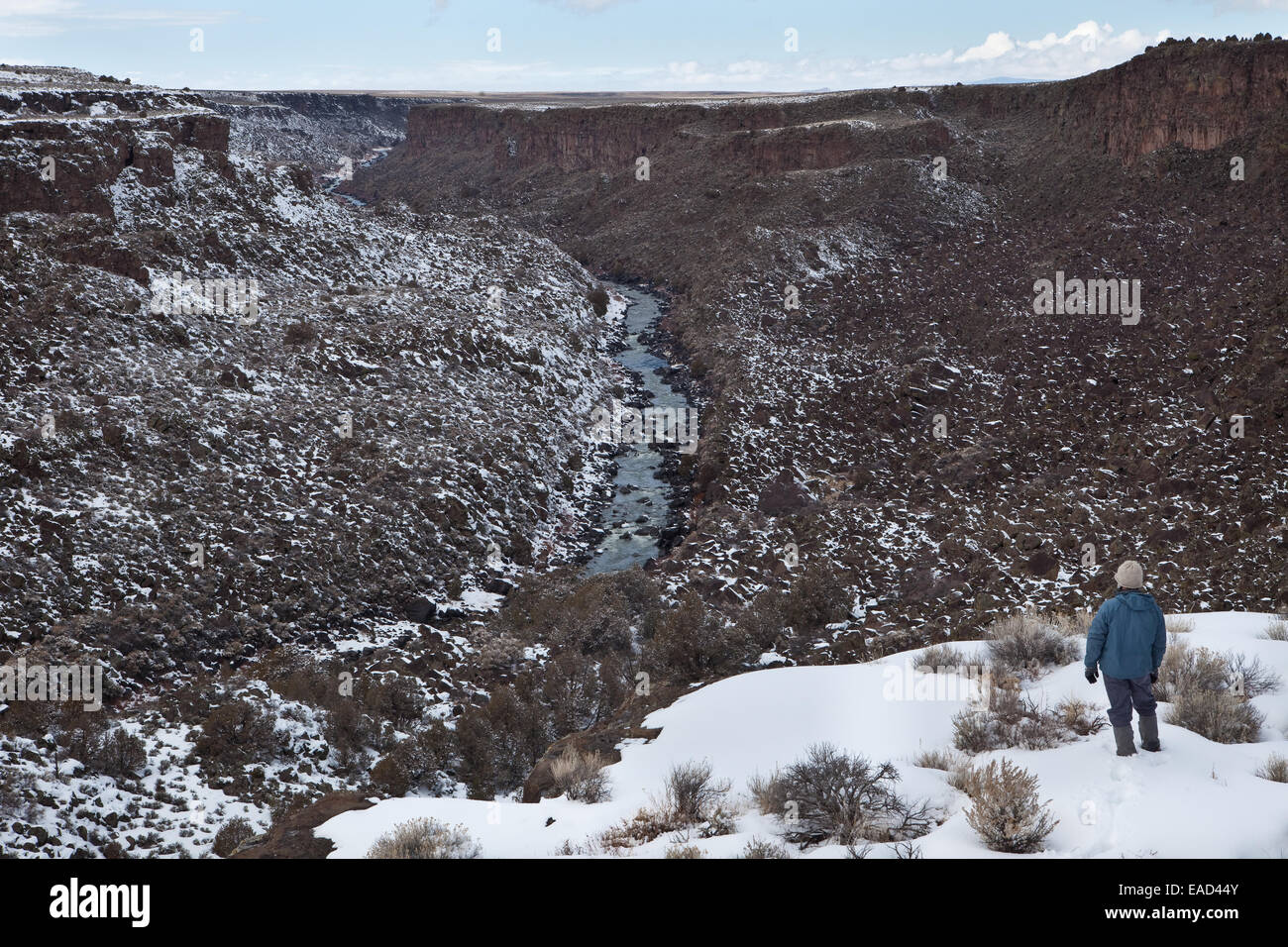 Die Wild Rivers Recreation Area in New Mexico ist ein National Land Conservation System Area, das Besuchern eine malerische Aussicht auf den Rio Grande bietet. Das Gebiet ist bekannt für seine reiche Tierwelt, sein raues Gelände und seine Nähe zur Wildnis der Dreifaltigkeitsalpen. Stockfoto