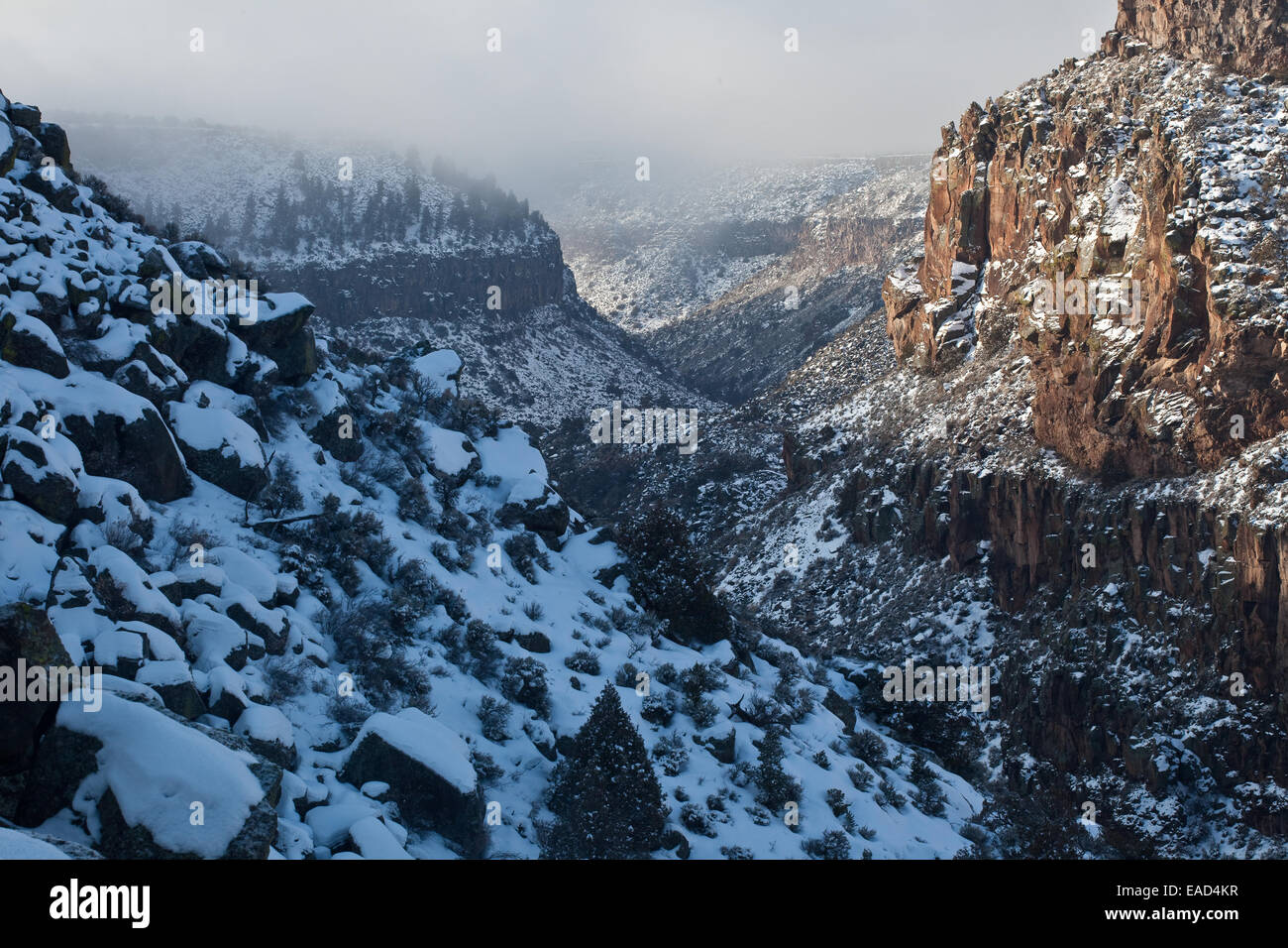 Die Wild Rivers Recreation Area in New Mexico bietet einen atemberaubenden Blick auf den Rio Grande River und die umliegende Trinity Alps Wilderness. Bekannt für seine dramatischen Landschaften, bietet die Gegend Möglichkeiten zum Wandern, Angeln und Beobachten von Wildtieren. Stockfoto