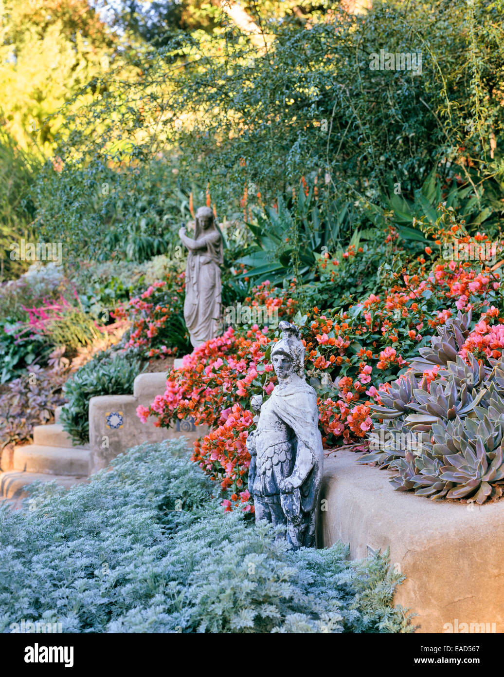 blühende Wüste Garten mit Skulptur in Los Angeles Stockfoto